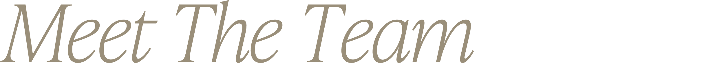 Meet the Team
